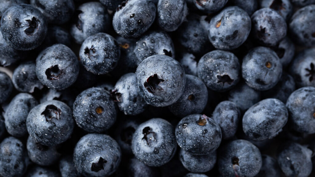 Blue Berries - Best Foods For Immune System