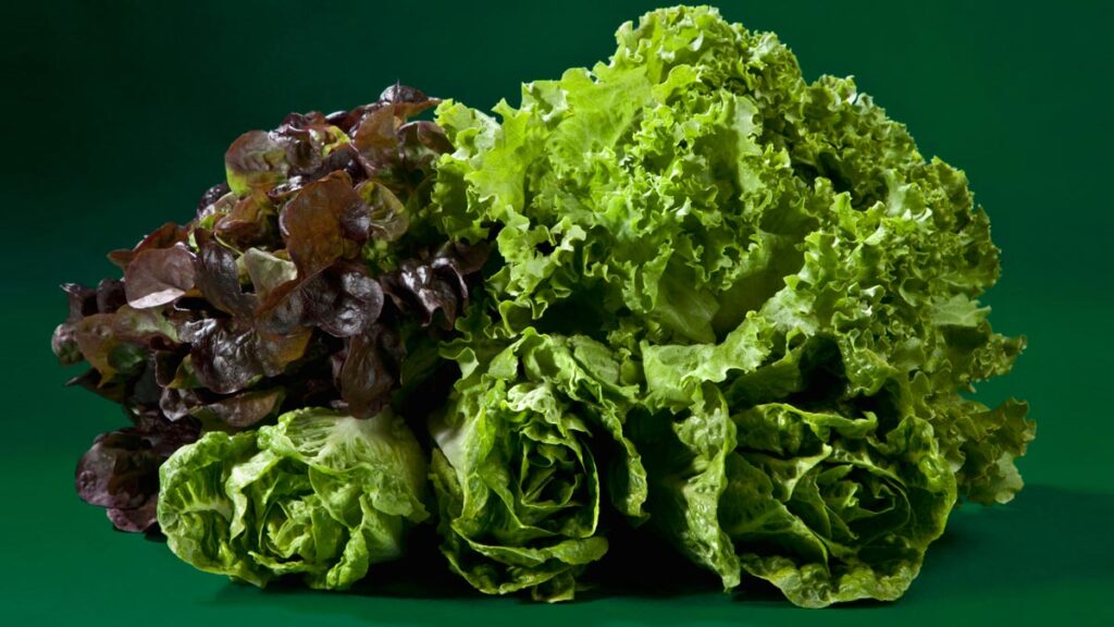 Leafy greens- Best Foods For Headache