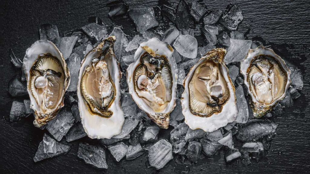 Oysters-Best Foods for Testosterone