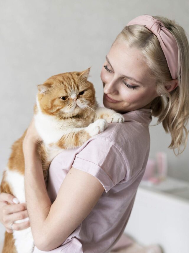 10  Best cat food for skin allergies